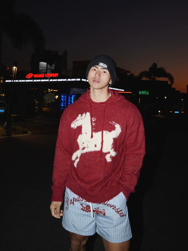 Cartoon Horse Graphic Knit Hooded Sweater