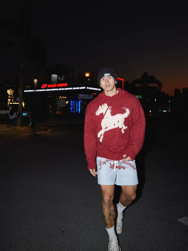 Cartoon Horse Graphic Knit Hooded Sweater - Image 5
